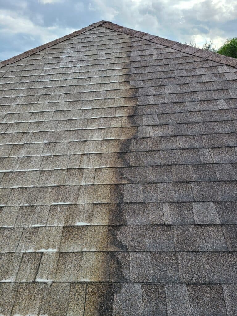 Roof Washing Services in Wayne, NJ