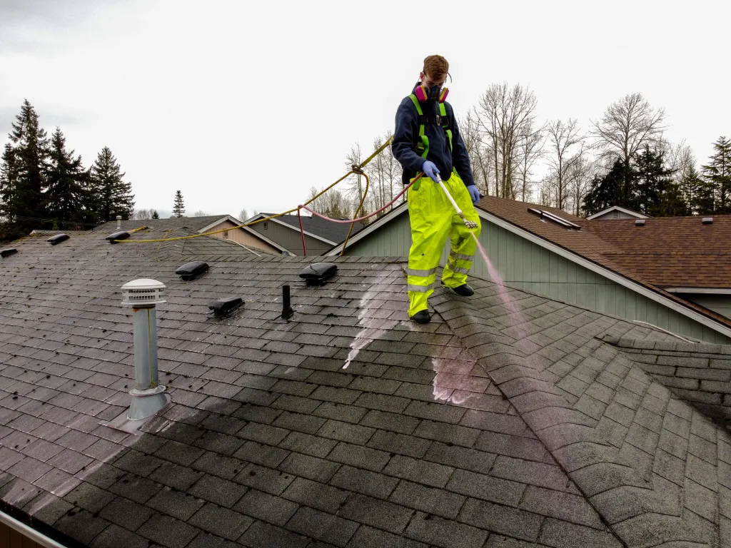 Roof Washing project 2