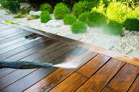 Fence Cleaning