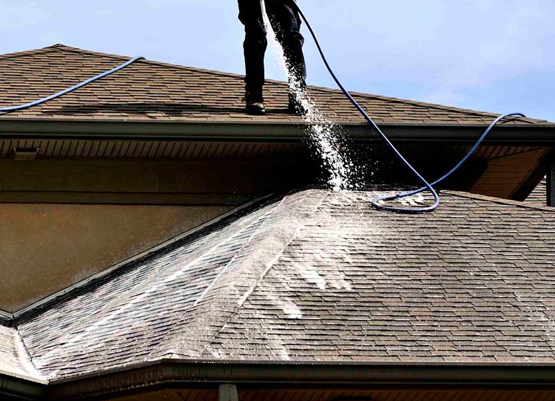 Roof Soft Washing in Wayne